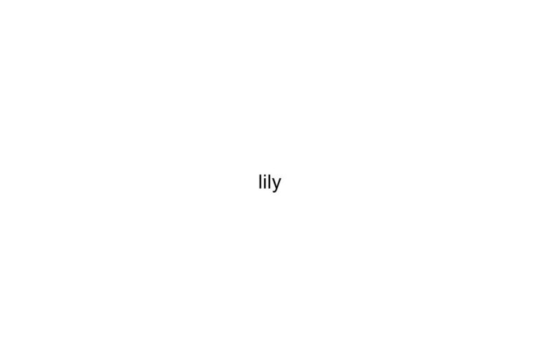 lily