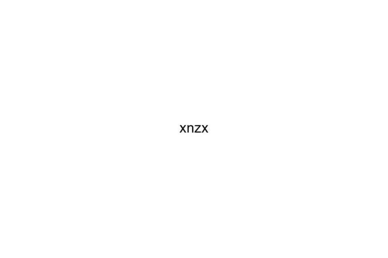 xnzx