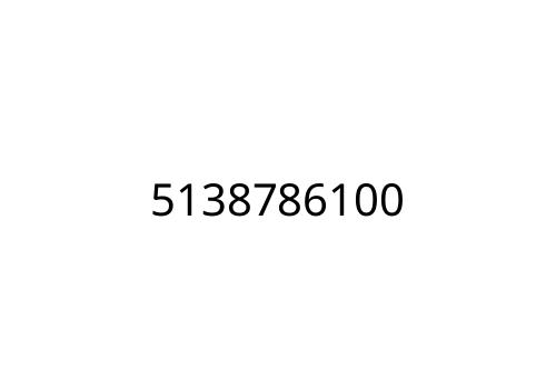 5138786100