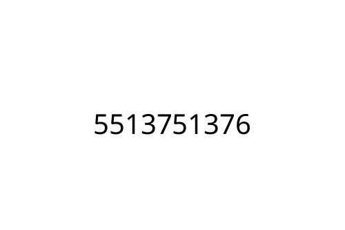 5513751376