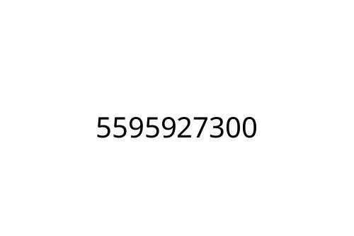 5595927300