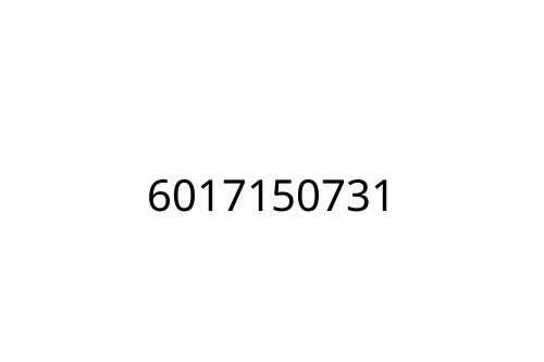 6017150731