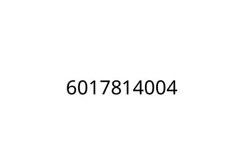 6017814004