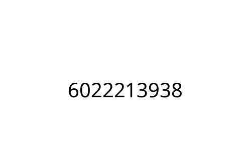 6022213938