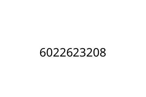 6022623208