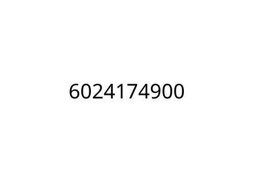 6024174900