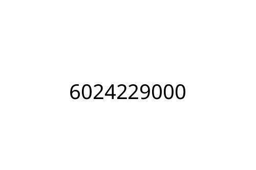 6024229000