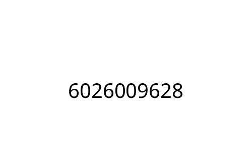 6026009628