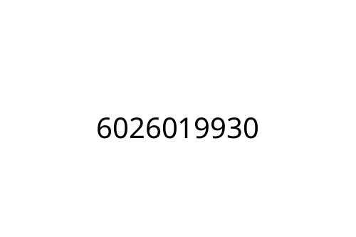 6026019930