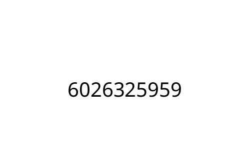 6026325959