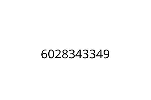 6028343349