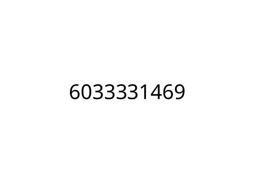 6033331469