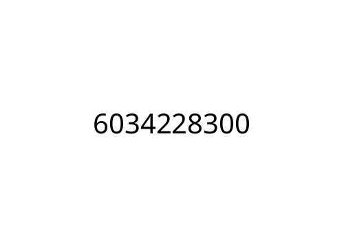 6034228300