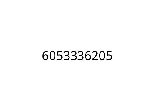6053336205