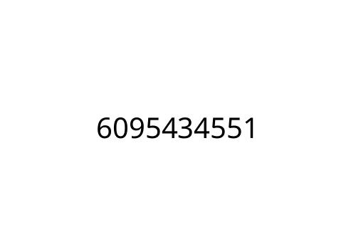 6095434551