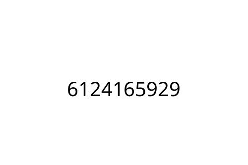 6124165929