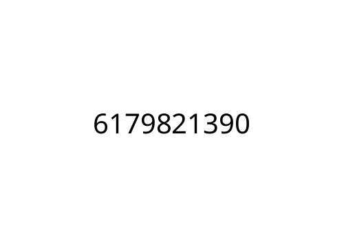 6179821390