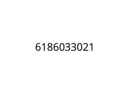 6186033021