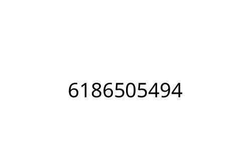 6186505494