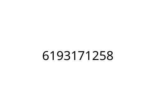 6193171258