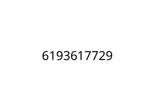 6193617729