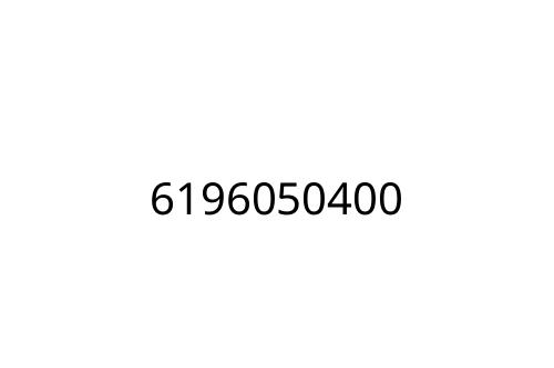 6196050400