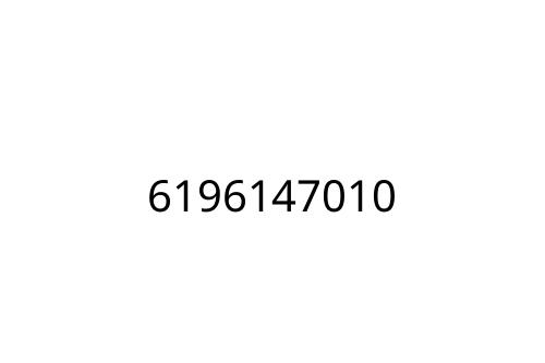 6196147010