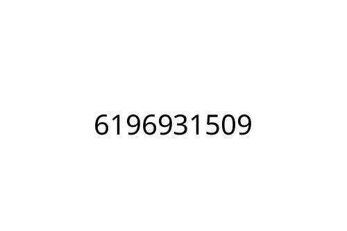 6196931509
