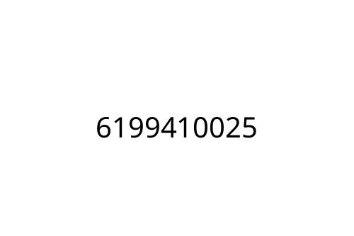 6199410025