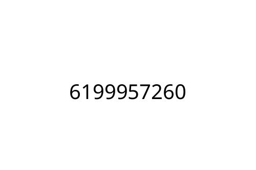 6199957260
