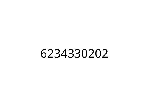 6234330202