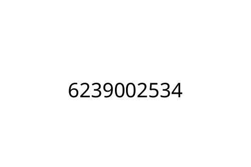 6239002534