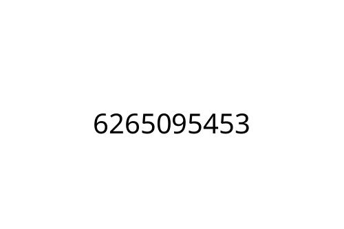 6265095453