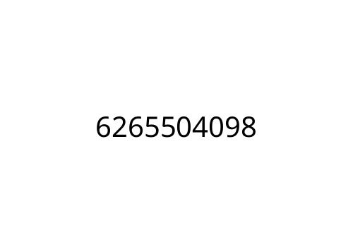 6265504098