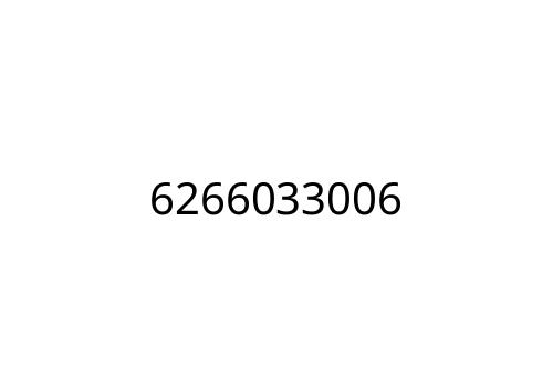 6266033006