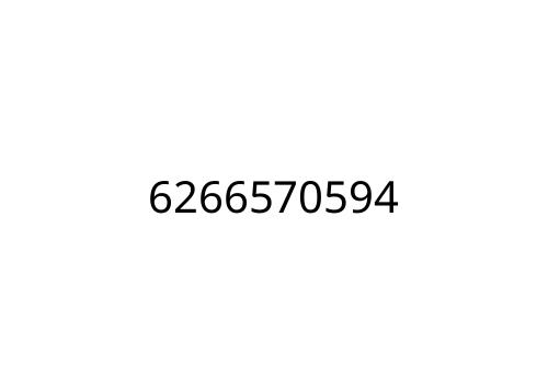 6266570594
