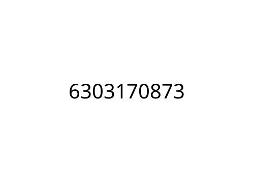 6303170873