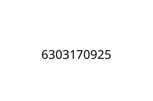 6303170925