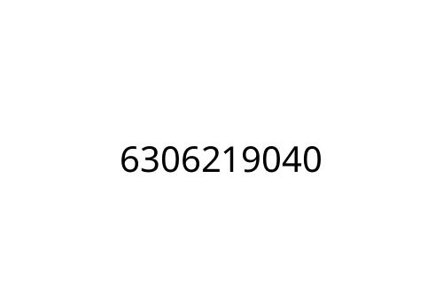 6306219040