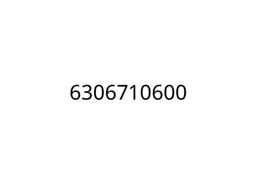 6306710600