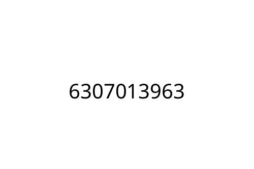 6307013963
