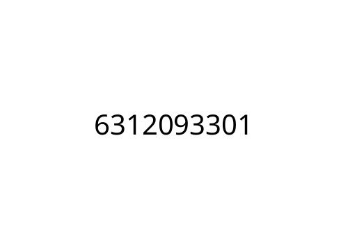 6312093301