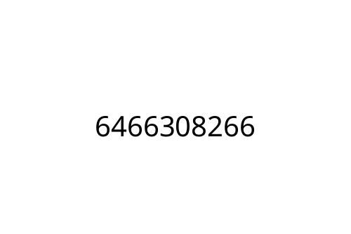 6466308266