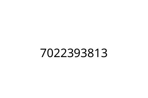 7022393813
