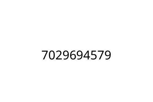 7029694579
