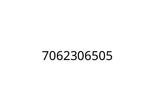7062306505