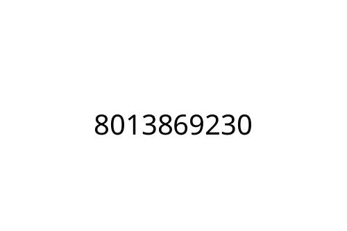 8013869230