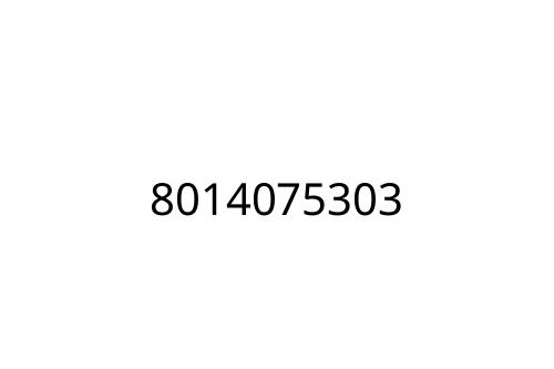 8014075303