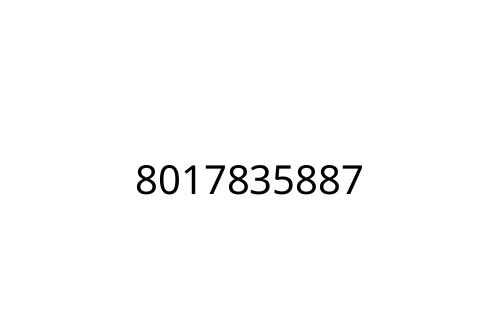 8017835887