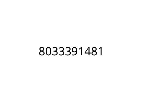 8033391481